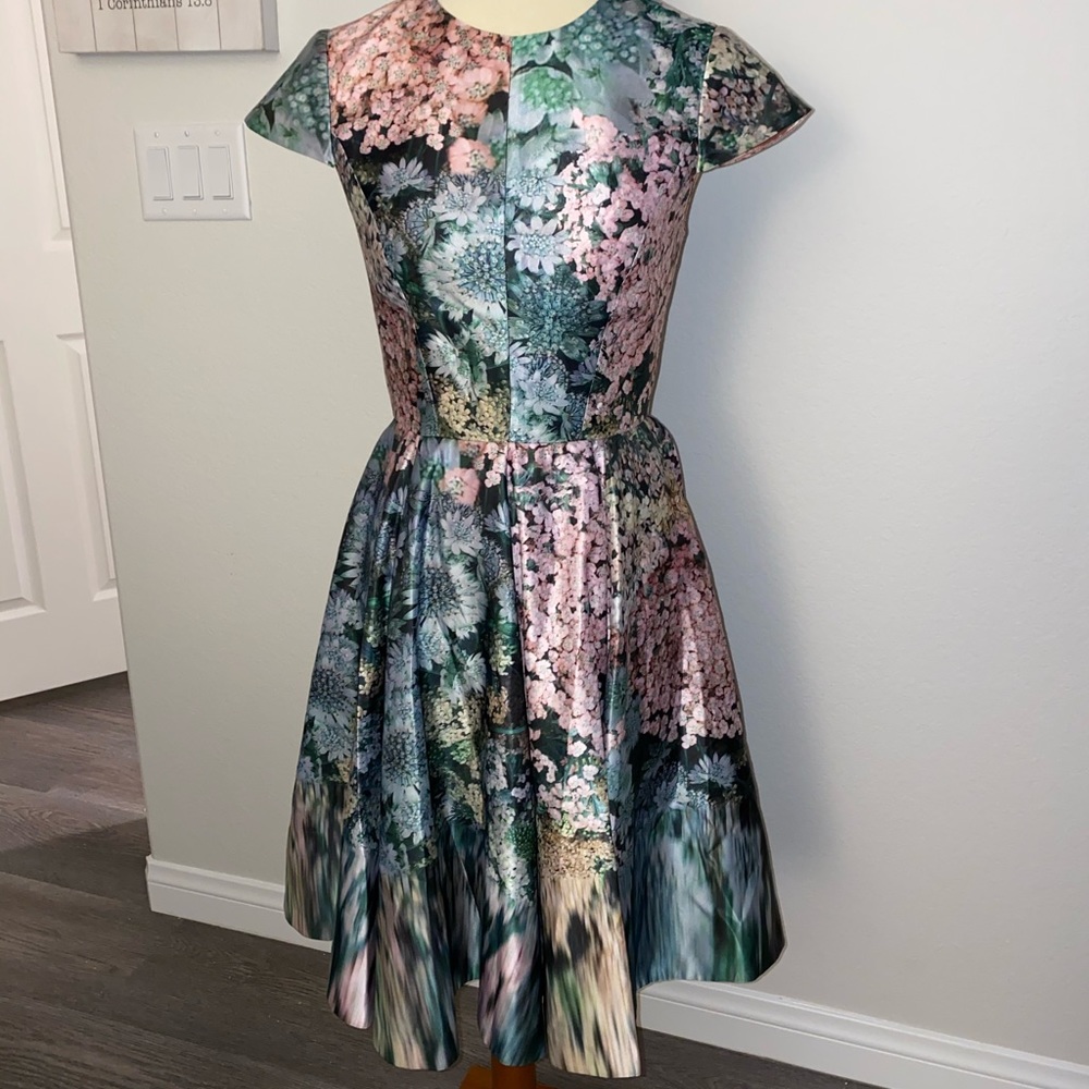 The Mouth Dropper Ted Baker Dress!